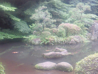芹ヶ谷公園の池